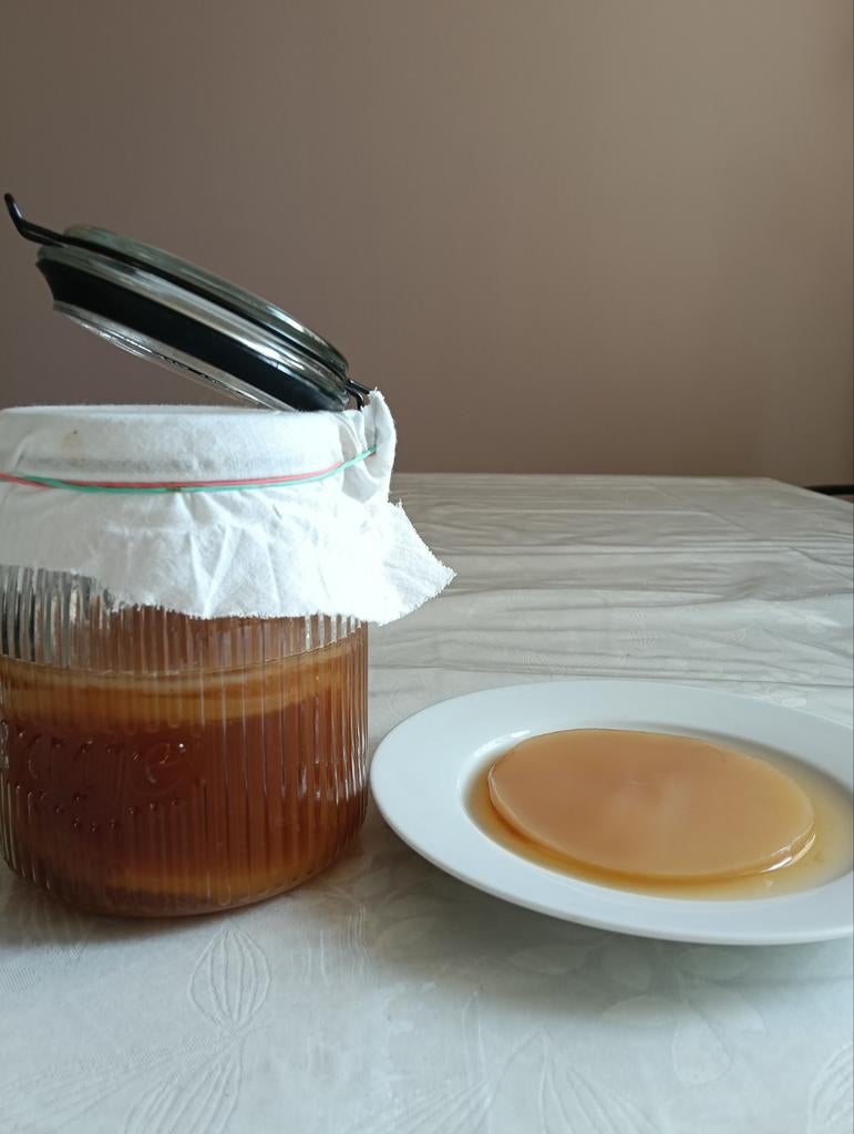 Kombucha Bio SCOBY + Startervloeistof Almere, Diversen, Levensmiddelen, Ophalen of Verzenden