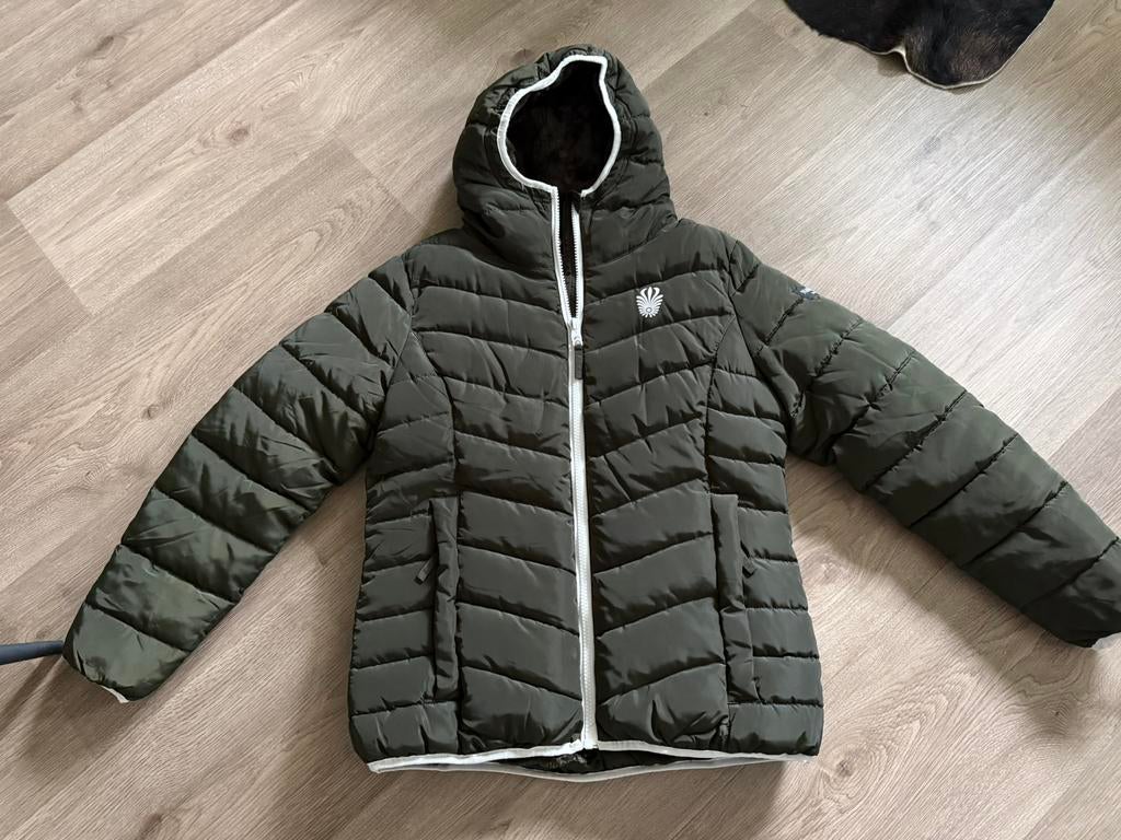 Te koop Navahoo ELVA - Winterjas - olive, Ophalen of Verzenden, Zo goed als nieuw, Maat 46/48 (XL) of groter, Groen
