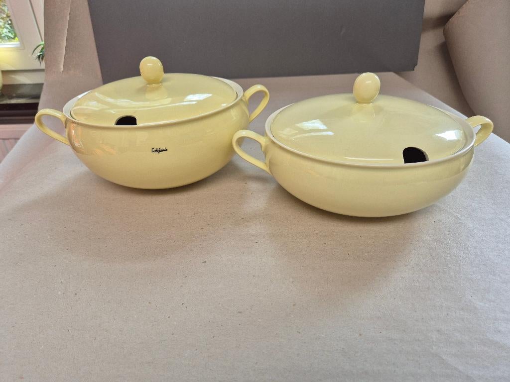 2 pastel soep terrines Regout Maastricht, California, Huis en Inrichting, Keuken | Servies, Ophalen of Verzenden, Zo goed als nieuw