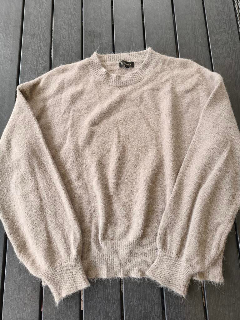Trui maat L van het merk G Maxx, Beige, G Maxx, Maat 42/44 (L), Ophalen of Verzenden