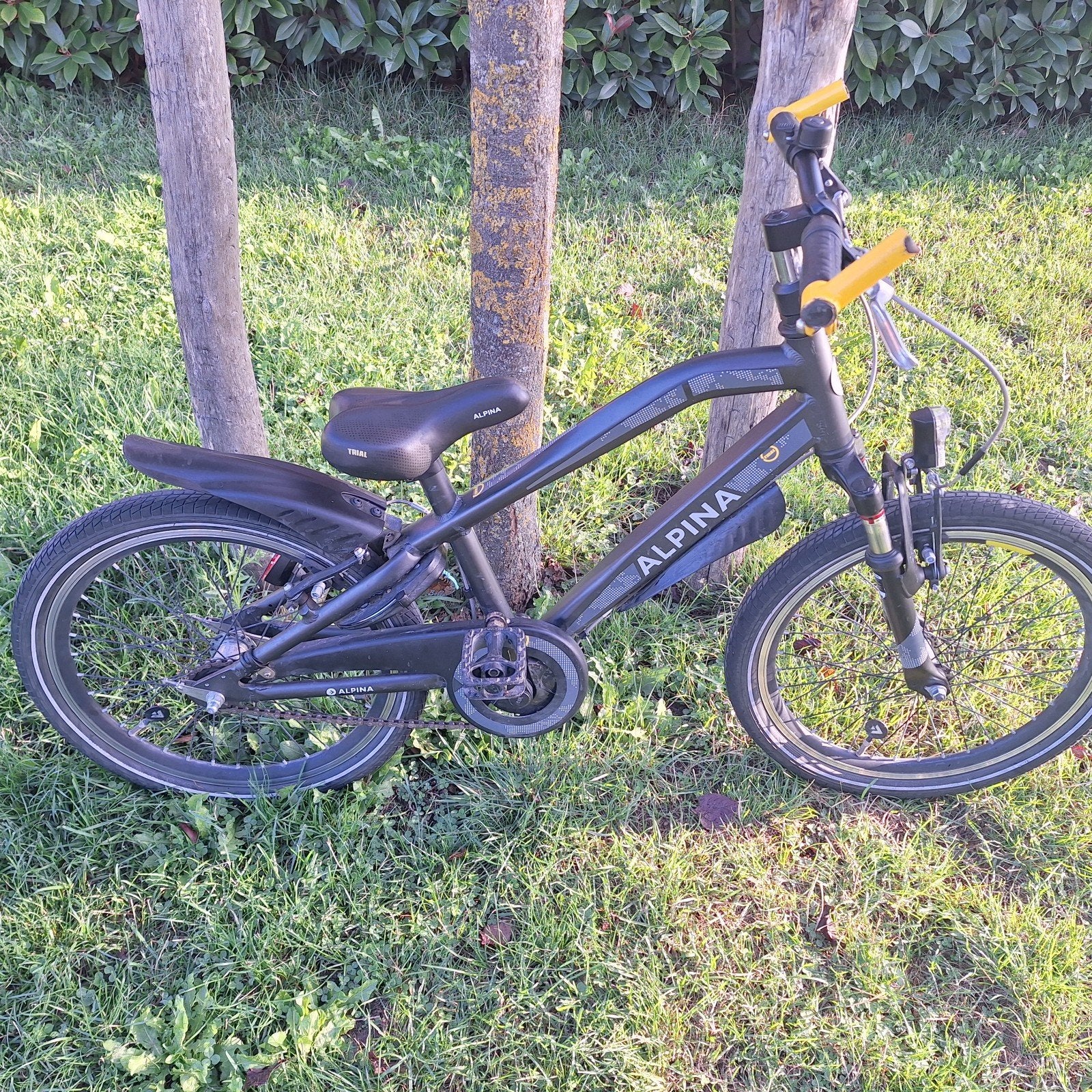 Alpine Trial fiets 20 inch., Ophalen, Gebruikt, Staal, 20 tot 24 inch