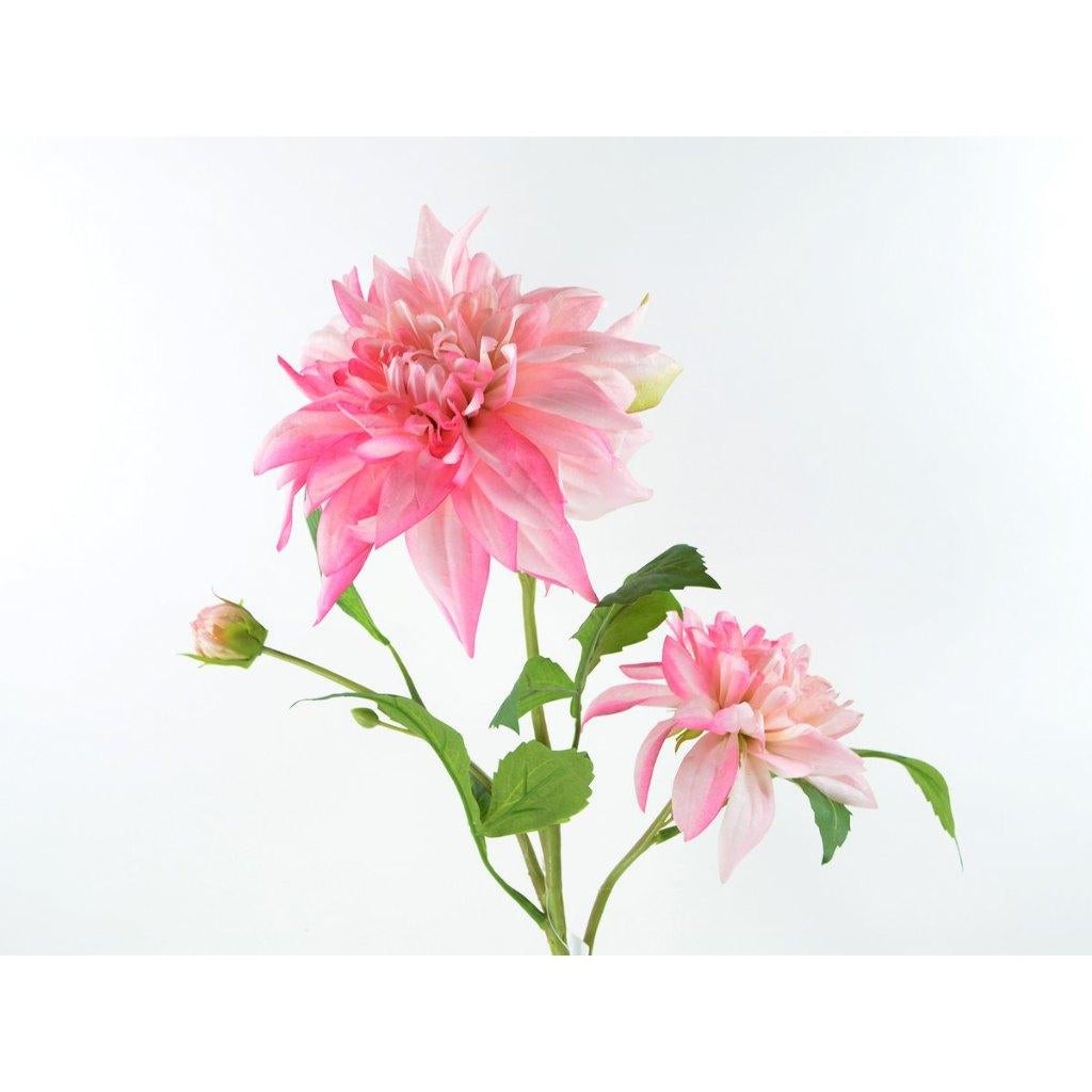 DAHLIA - KUNST - 2 KLEUREN, Ophalen of Verzenden, Nieuw