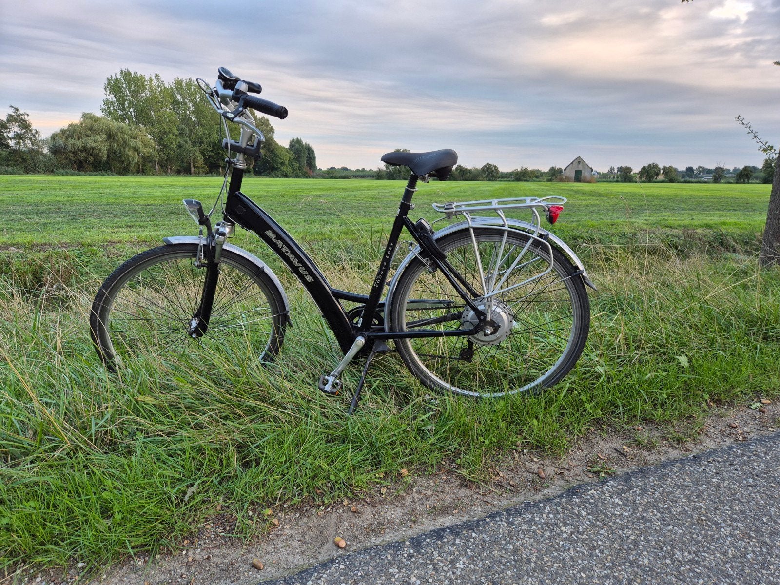 Batavus Padova Easy E-bike goed werkend, Ophalen, Gebruikt, Batavus, 59 cm of meer