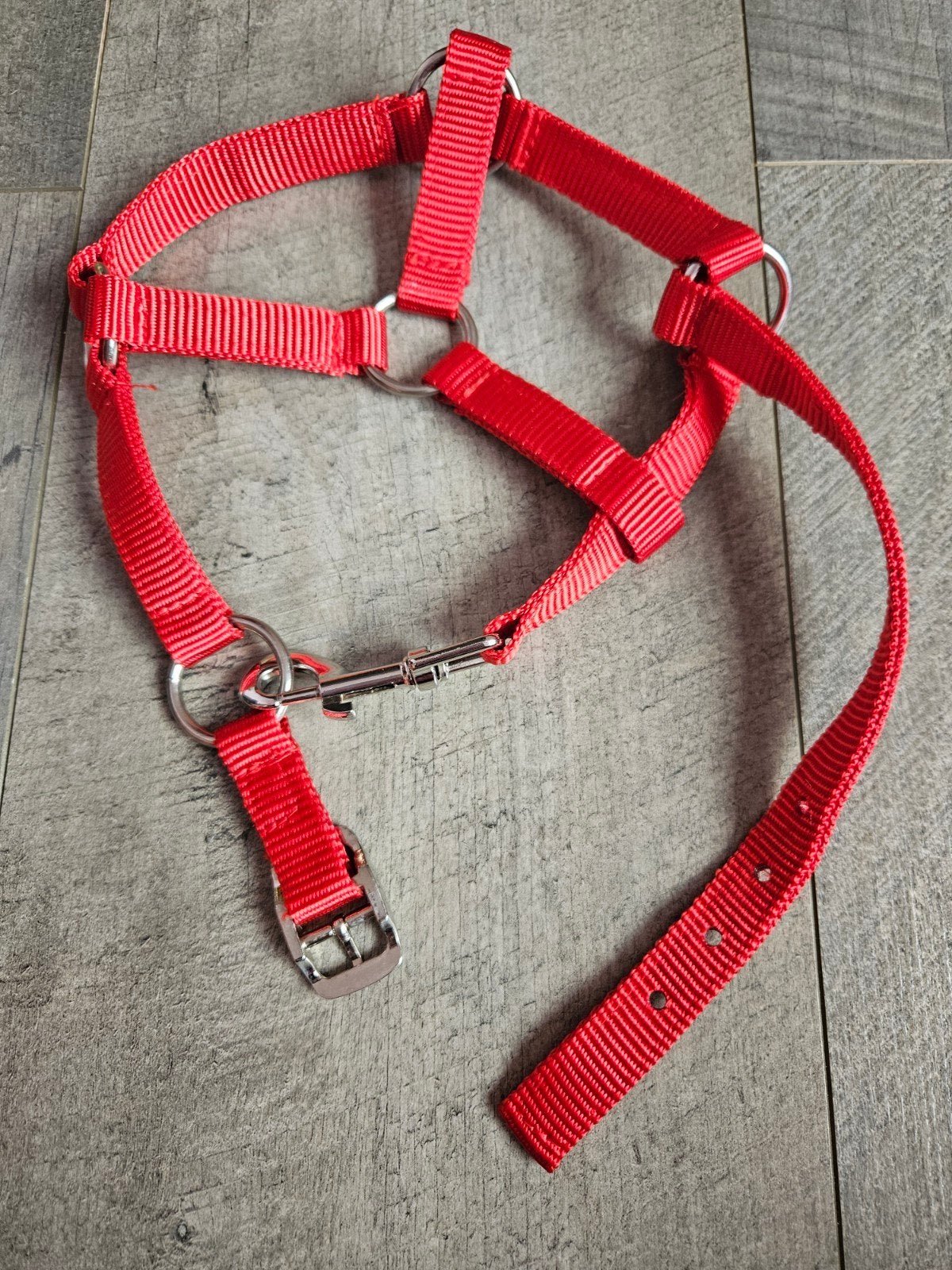 rood halster, Ophalen of Verzenden, Nieuw
