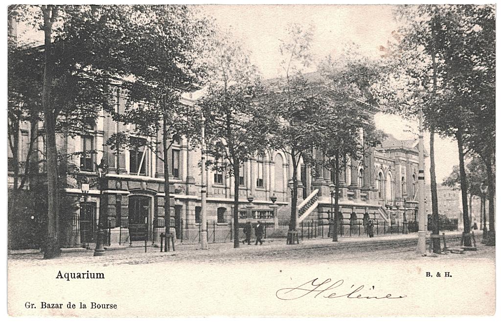 700050 Amsterdam Aquarium 1904 Gelopen met postzegel