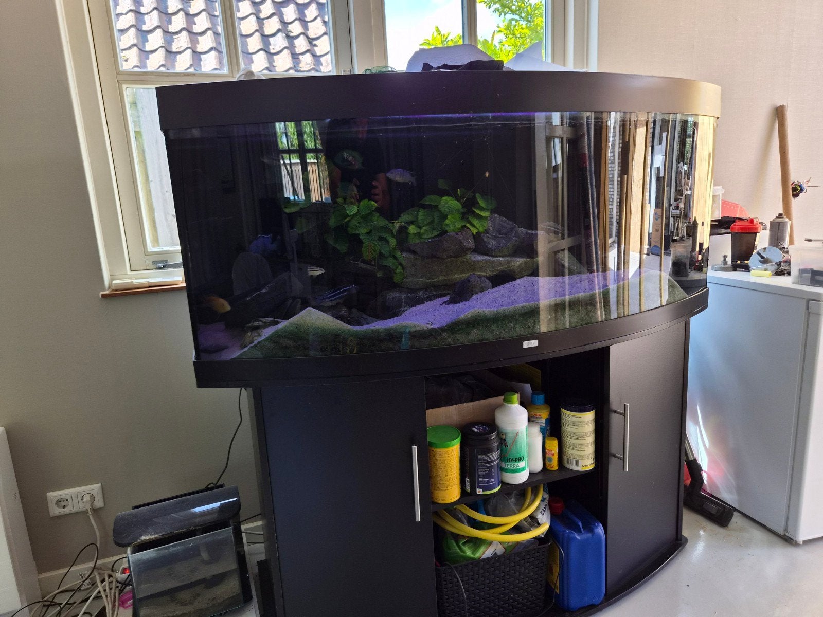 Aquarium juwel vision 450, Ophalen, Zo goed als nieuw, Gevuld zoetwateraquarium