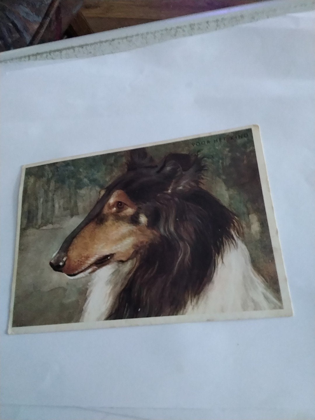 Oude ansichtkaart Schotse Herder (Collie) - Gelopen, Ophalen of Verzenden