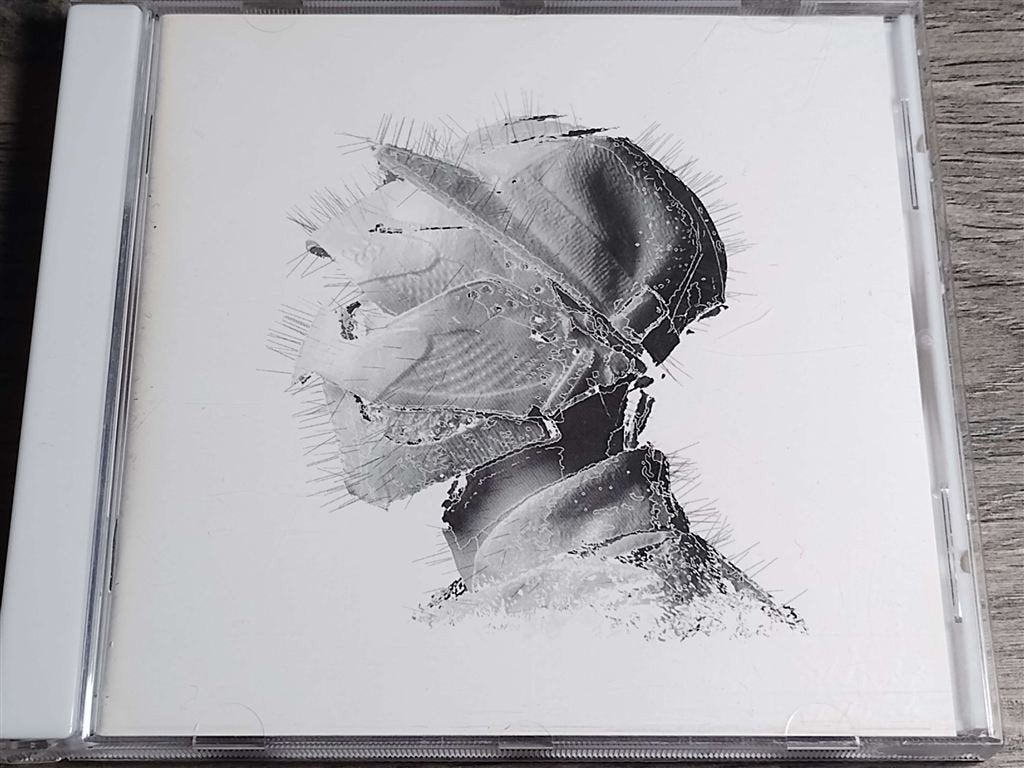 Woodkid - The Golden Age, Ophalen of Verzenden, Zo goed als nieuw, Poprock