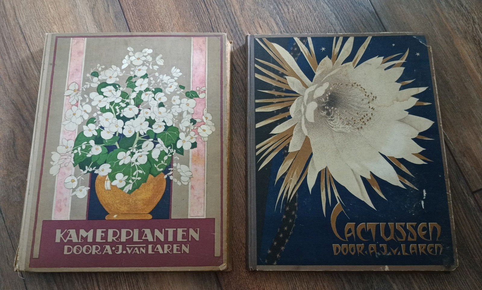 Verkade plaatjes album Kamerplanten en Cactussen, Ophalen of Verzenden, Gelezen, A.J. van Laren, Plaatjesalbum