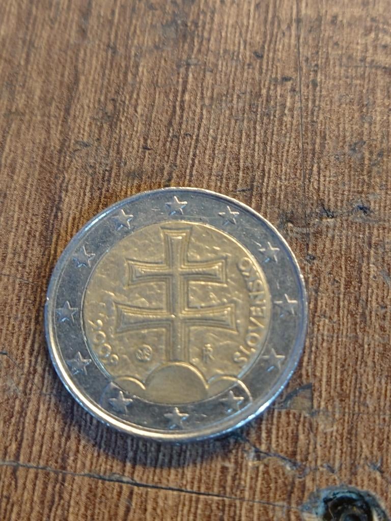 2 euro munt Slovenië 2009, Postzegels en Munten, Munten | Europa | Euromunten, Ophalen of Verzenden, Slovenië, 2 euro, Losse munt