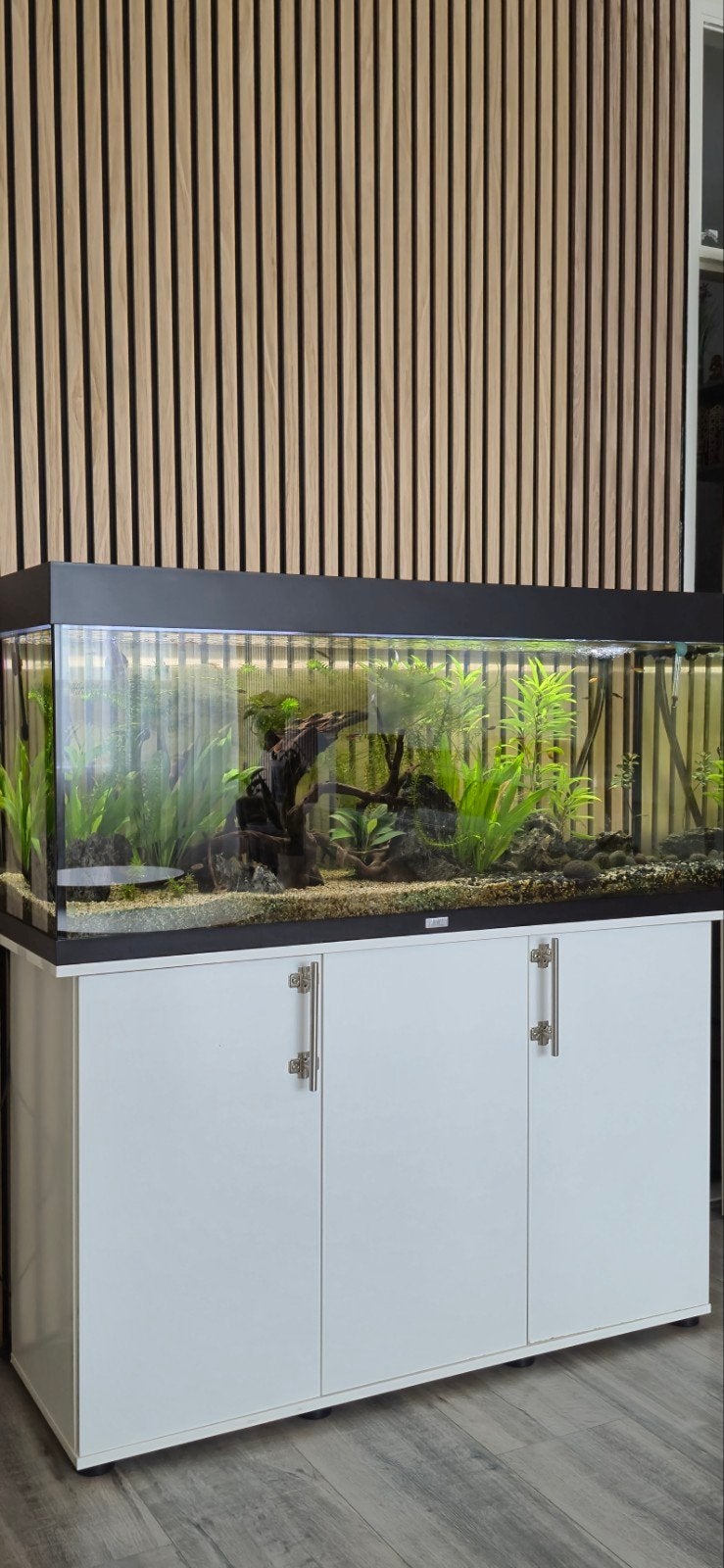 aquarium juwel rio 240, Dieren en Toebehoren, Ophalen of Verzenden, Zo goed als nieuw, Leeg aquarium, Juwel