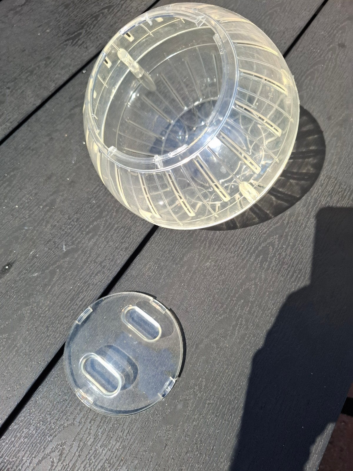 hamster loop/ ren bal, Ophalen of Verzenden, Gebruikt, Speelgoed