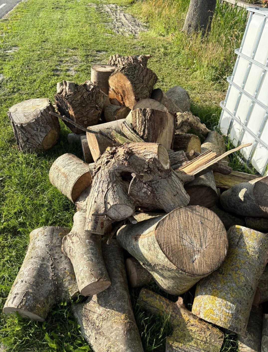 Hout, Tuin en Terras, Haardhout, Minder dan 3 m³, Ophalen