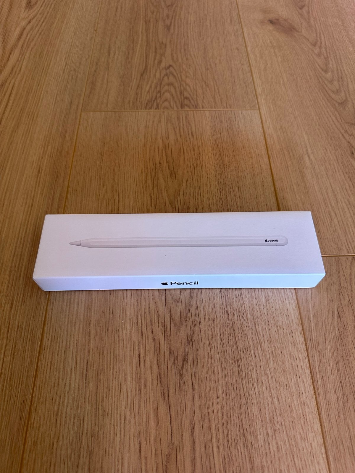 Apple Pencil (2e generatie) - zeer goede staat, Computers en Software, Apple iPads, Zo goed als nieuw, Apple iPad, 10 inch, 16 GB