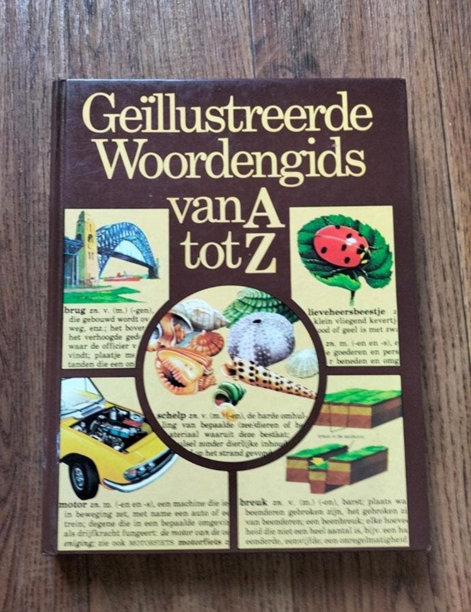 Geïllustreerde woordengids van A tot Z, Ophalen of Verzenden, Gelezen