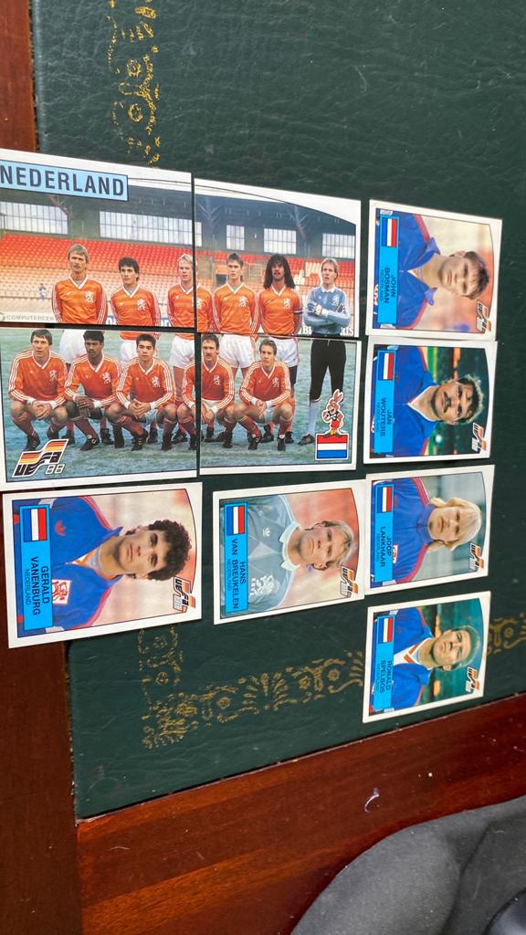 Panini euro 88 Nederland, Ophalen of Verzenden, Zo goed als nieuw