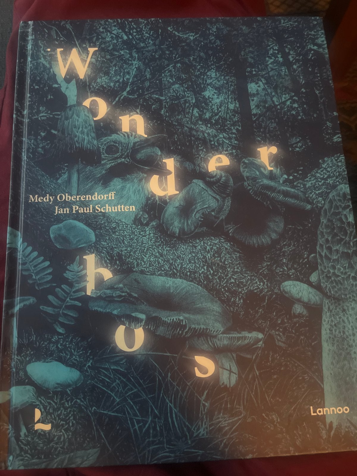 Wonderbos - Medy Oberndorff & Jan Paul Schutten, Boeken, Ophalen of Verzenden, Zo goed als nieuw, Natuur algemeen