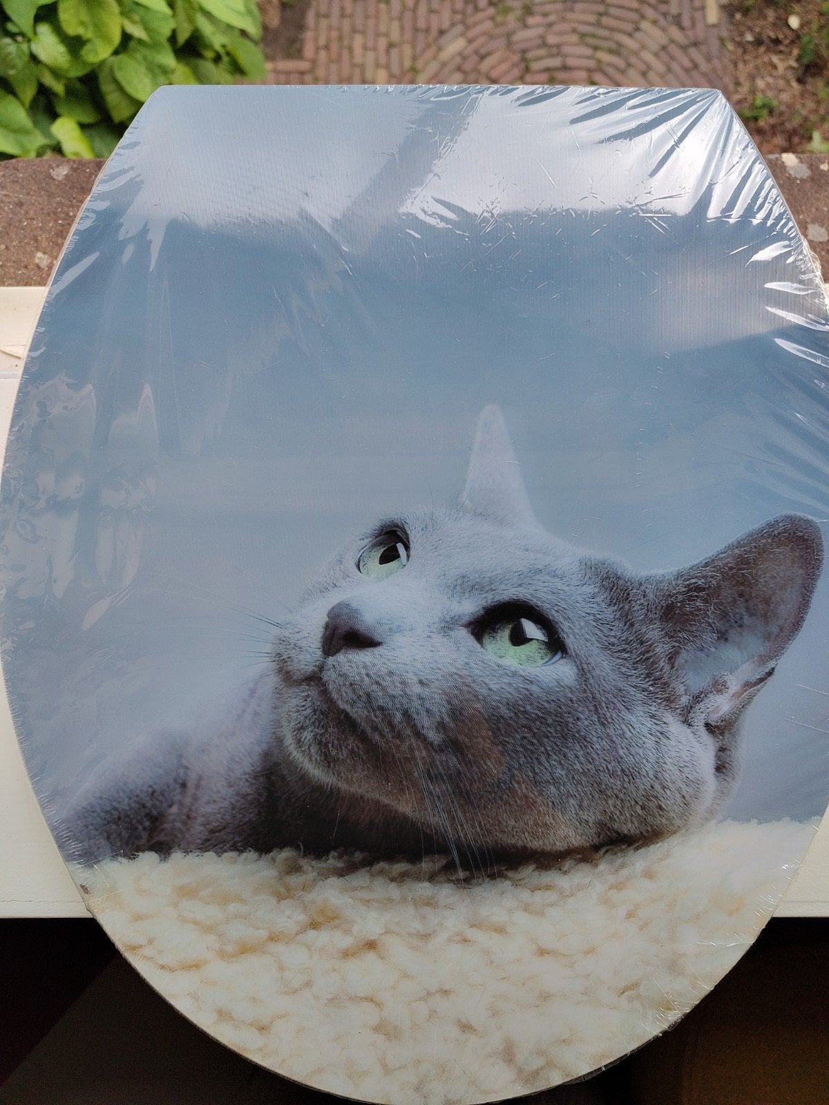 Toiletbril kat 3d nieuw, Ophalen, Nieuw, Toilet