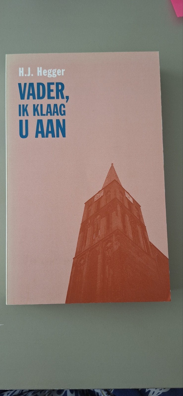 H.J. Hegger - Vader, ik klaag u aan, Ophalen of Verzenden, Gelezen, H.J. Hegger