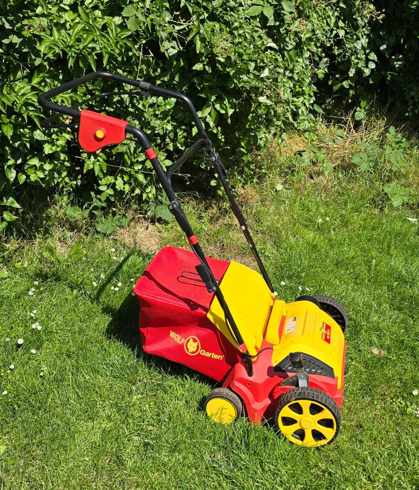 Wolf garten verticuteermachine, Ophalen, Zo goed als nieuw, Elektrisch, Wolf Garten
