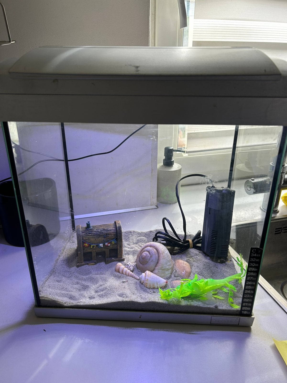 Aquarium, Ophalen, Zo goed als nieuw, Gevuld zoetwateraquarium