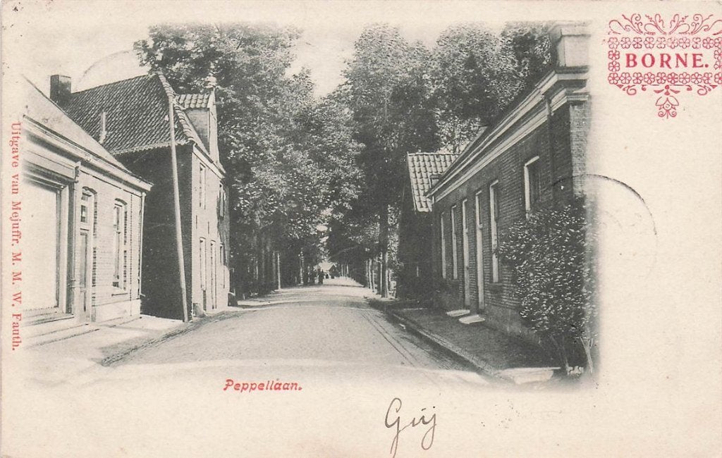 703-140-009 Peppellaan Borne, Verzamelen, Ophalen of Verzenden, Voor 1920, Overijssel