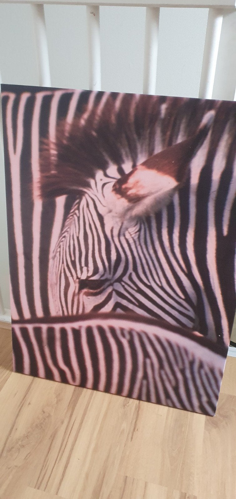 Zebra Canvas Schilderij - 60x80 cm, Ophalen, 50 – 75, Gebruikt, Schilderij