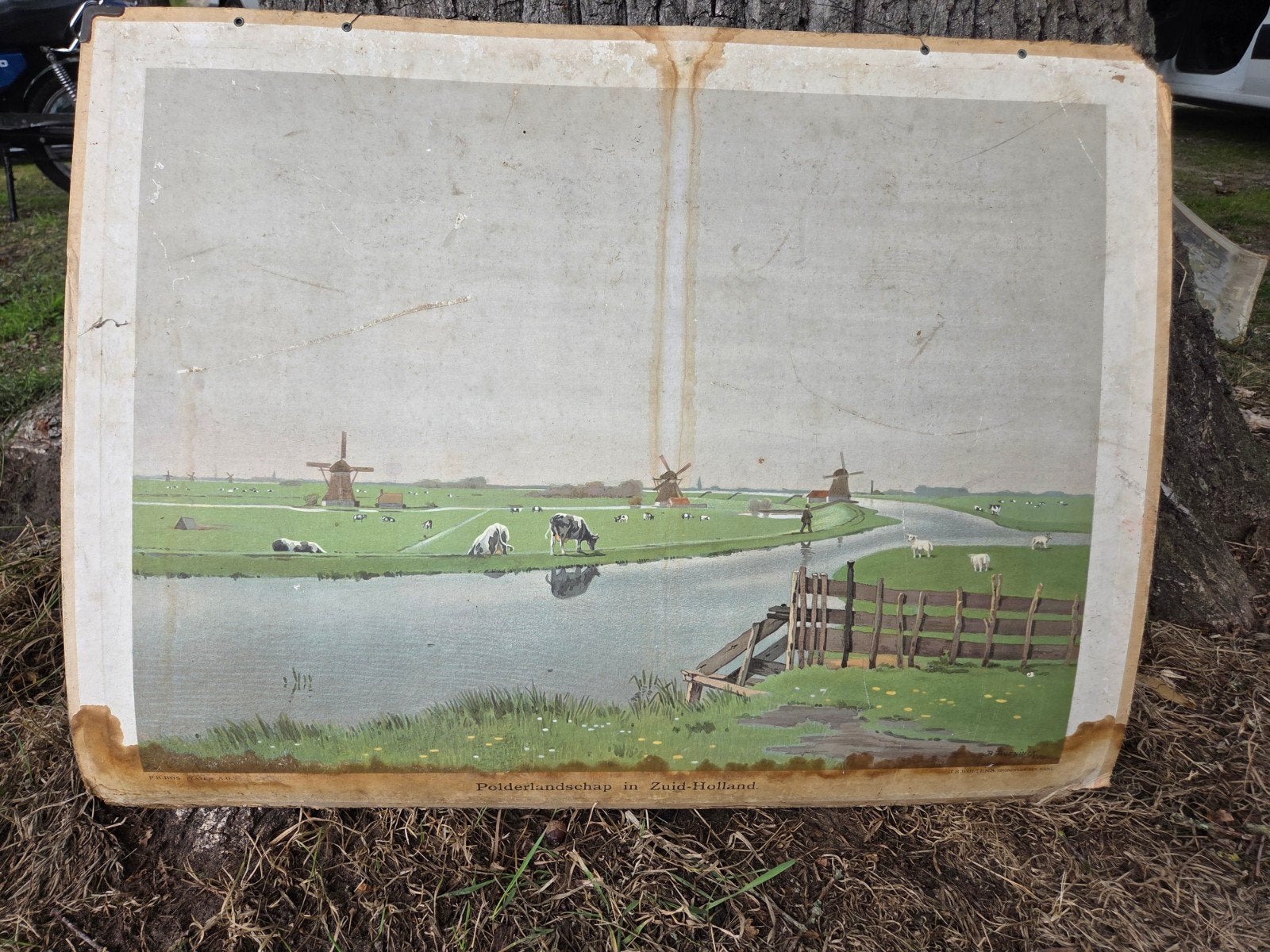Vintage Schoolplaat Polderlandschap Zuid-Holland, Antiek en Kunst, Ophalen, Stad- en Dorpsgezichten