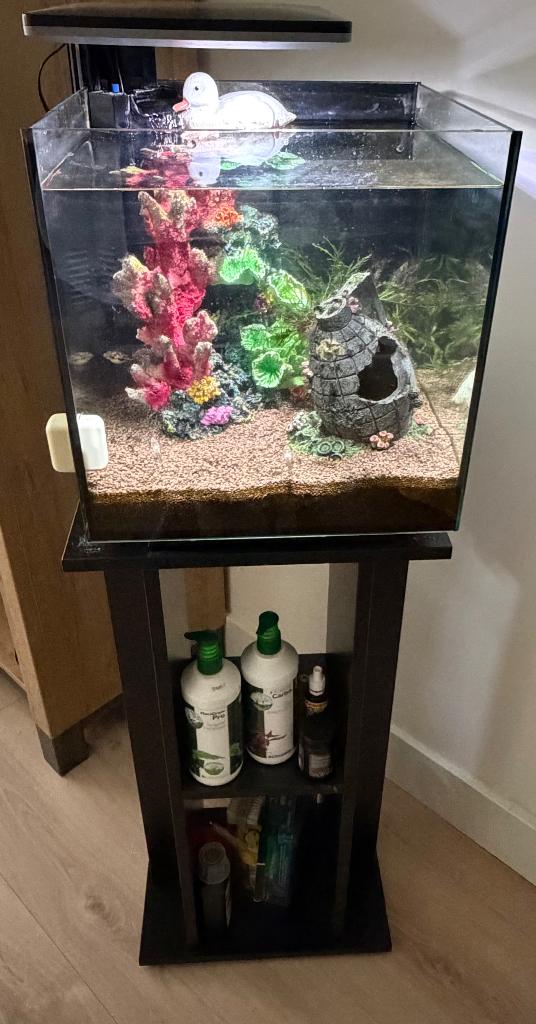 Aquarium met stand incl vissen en toebehoren, Dieren en Toebehoren, Vissen | Aquaria en Toebehoren, Ophalen, Gebruikt, Gevuld zoetwateraquarium
