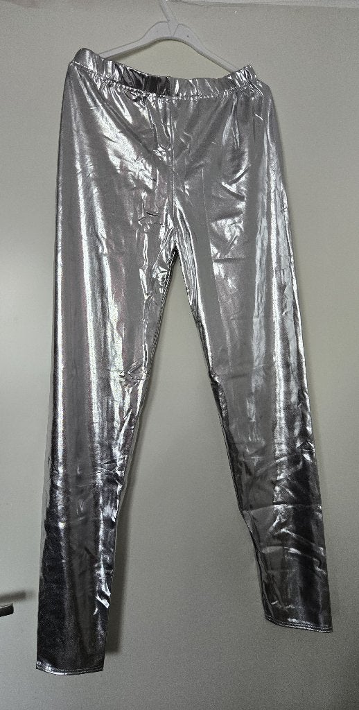 Flower Power, Disco Zilveren broek mt S / M, Kleding | Dames, Ophalen of Verzenden, Nieuw, Maat 38/40 (M), Overige thema's