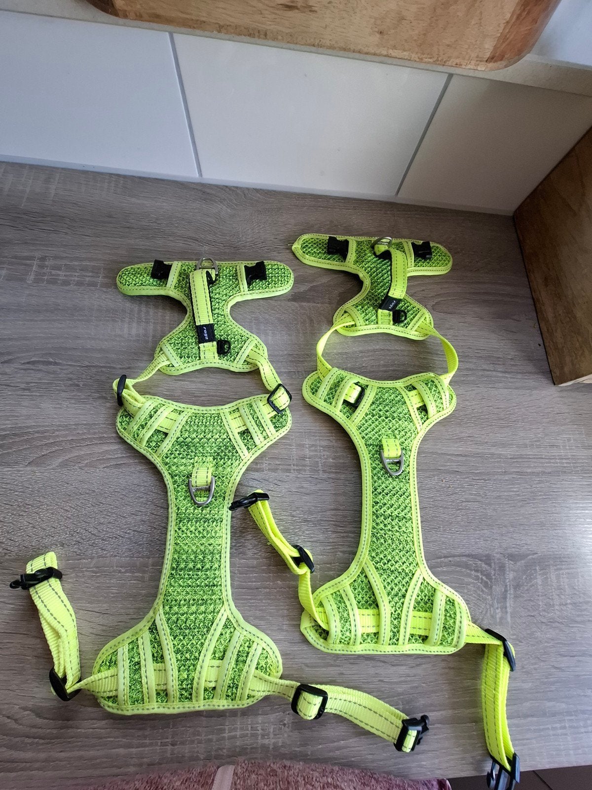 Te koop 1 Rogz hondentuigje, Ophalen of Verzenden, Nieuw