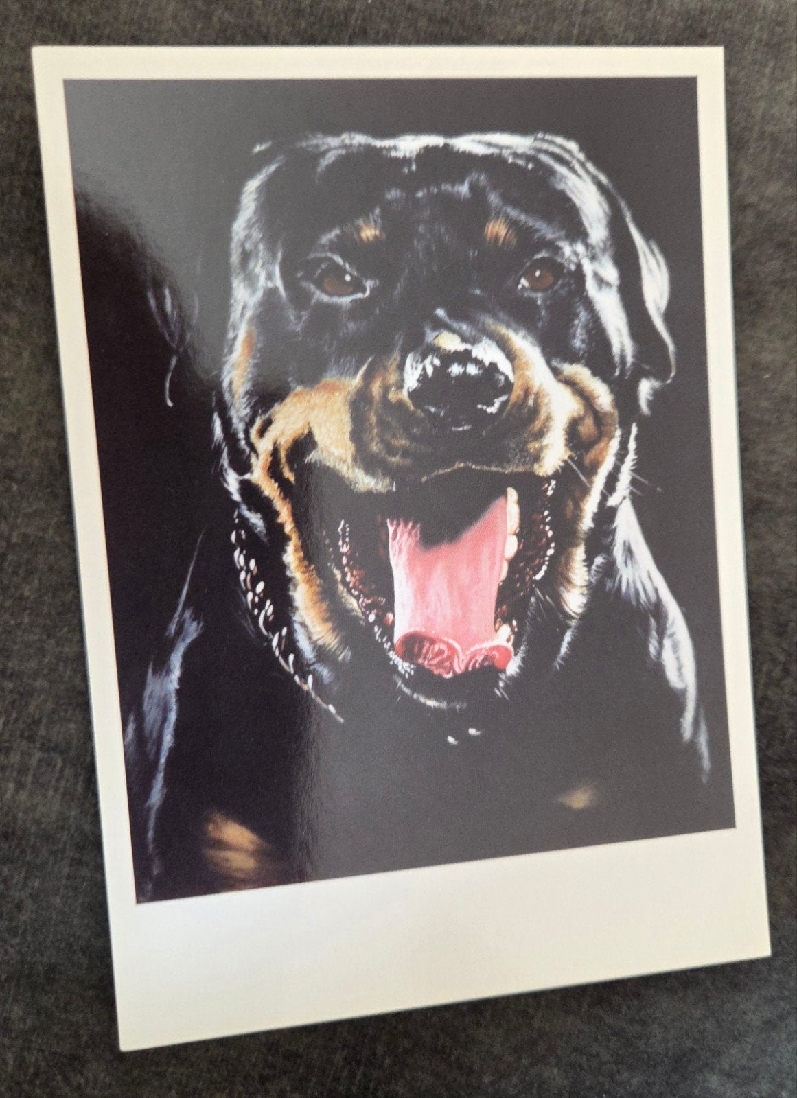 Rottweiler Hond, Verzenden, 1980 tot heden, Ongelopen, Overige thema's