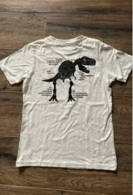 T-Rex t-shirt crème kleur maat 140 (9-10jaar), Ophalen of Verzenden, Zo goed als nieuw, Jongen, Shirt of Longsleeve