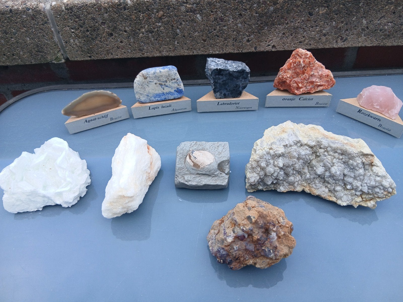 Collectie van diverse mineralen en fossielen, Ophalen of Verzenden