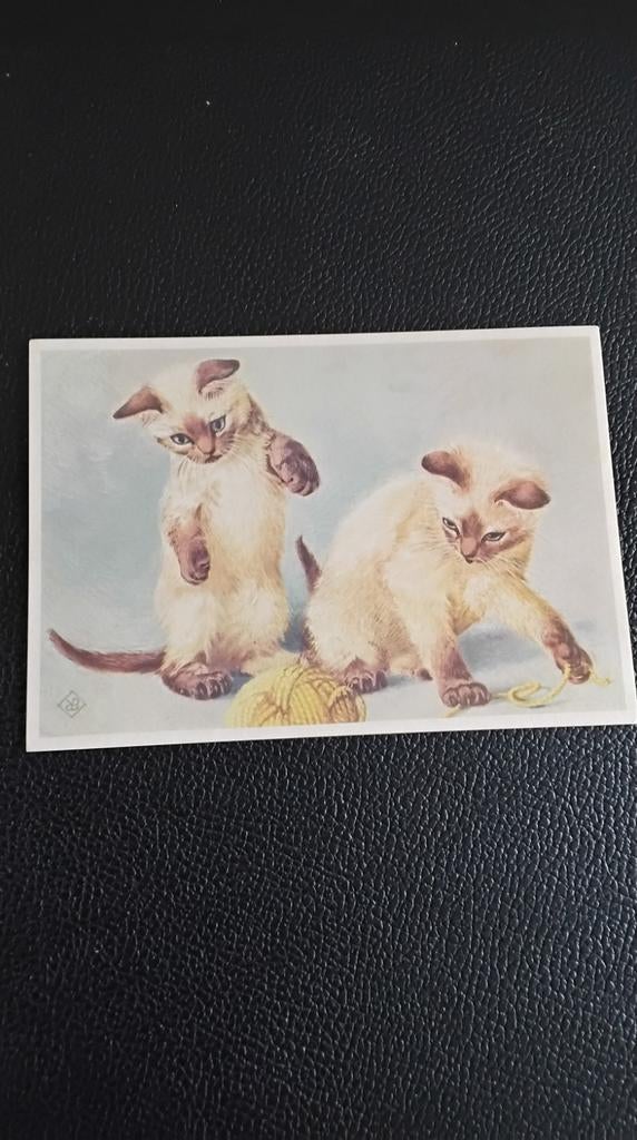 Vintage Ansichtkaart: Twee Siamese Katjes met Wol, Ophalen of Verzenden, 1940 tot 1960, Ongelopen