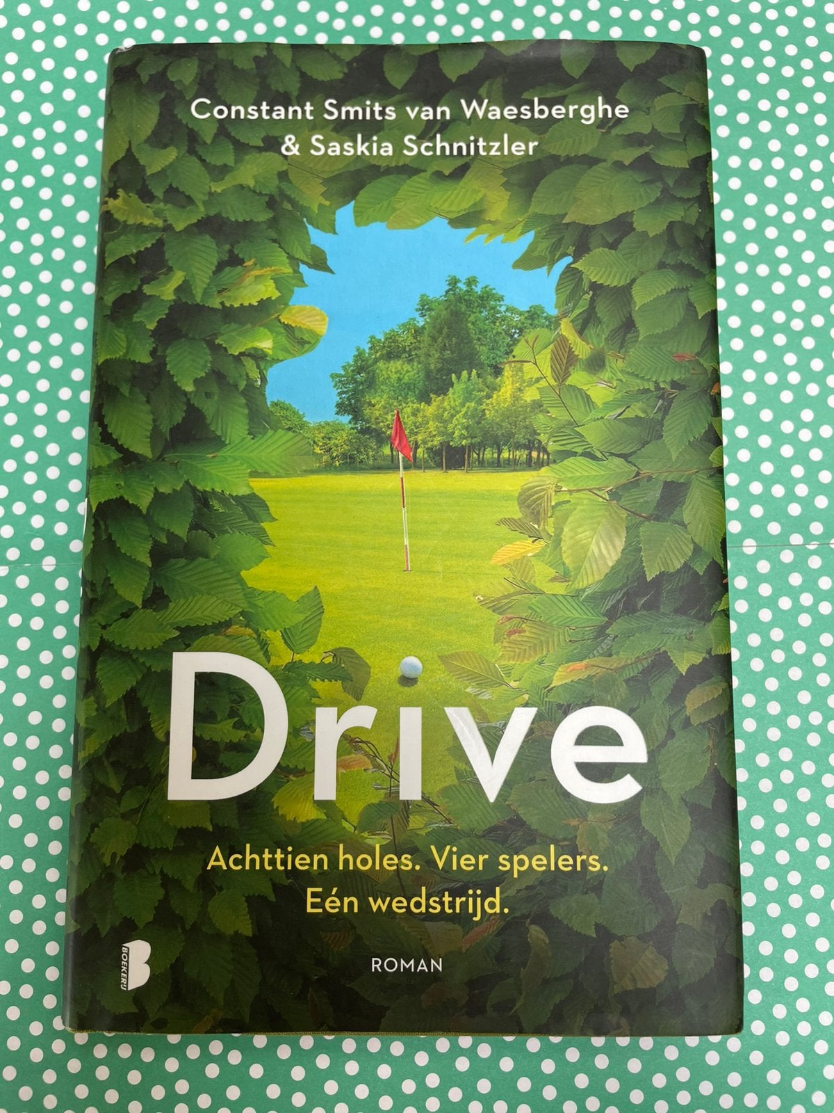 Drive,door Constant Smits van Waesberghe & Saskia Schnitzler, Ophalen of Verzenden, Zo goed als nieuw, Nederland
