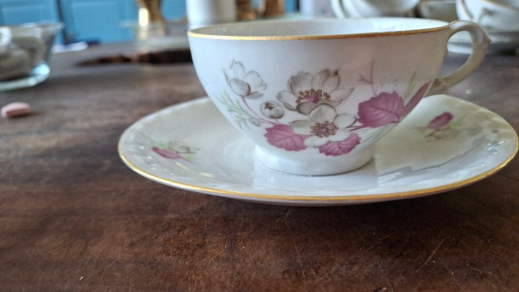 7 prachtige, vintage kop en schotel EPIAG Tsjecho-Slowakije, Ophalen