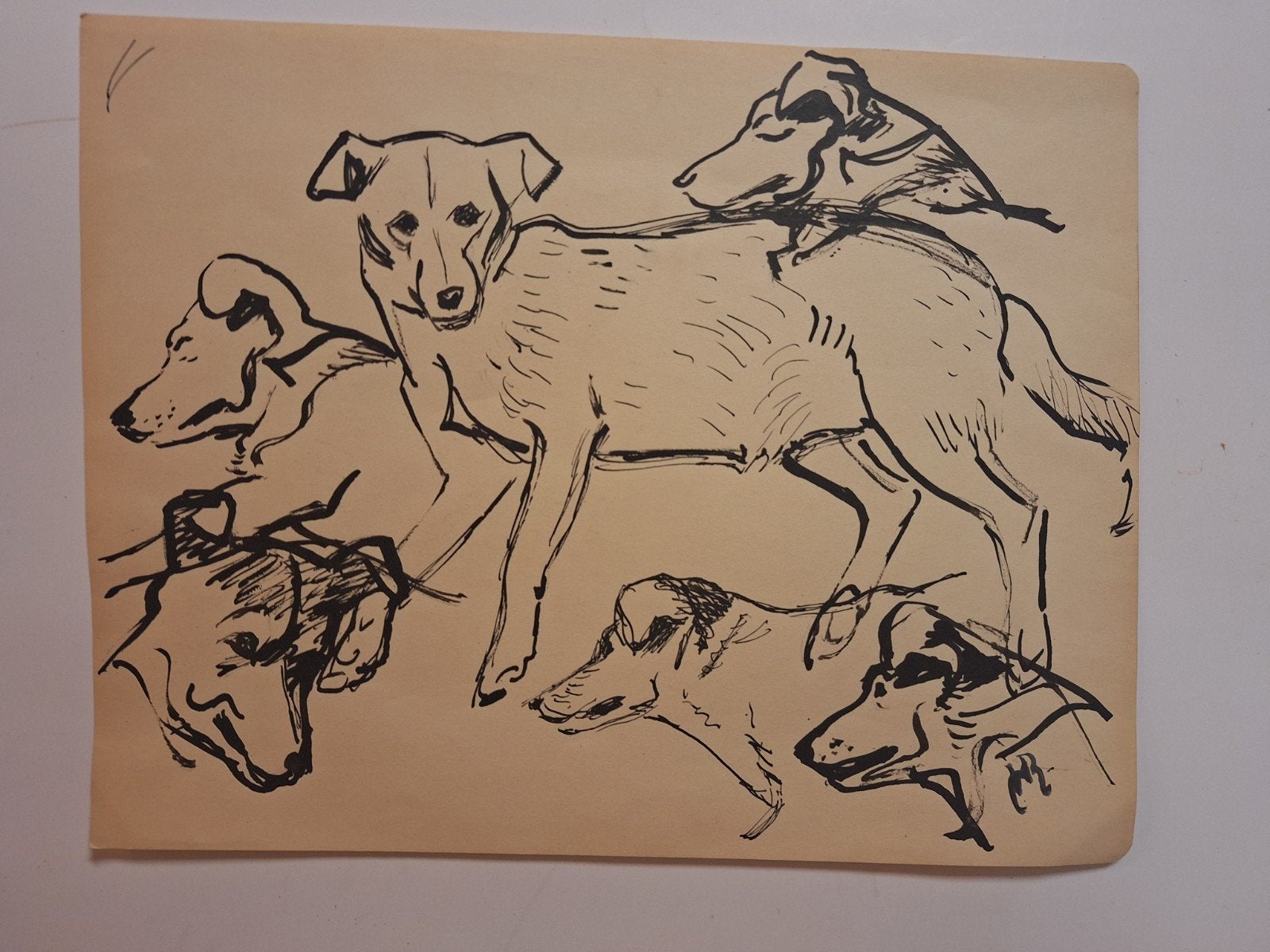 Inkttekening studie honden, gesigneerd HR, Antiek en Kunst, Ophalen of Verzenden, Tekening, Pentekening, Origineel