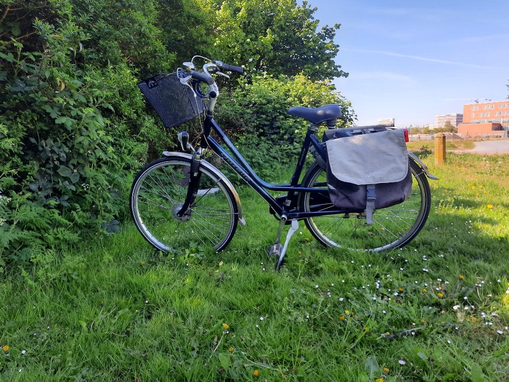 Gazelle damesfiets met vering, Ophalen, Versnellingen, Gazelle, Trommelrem