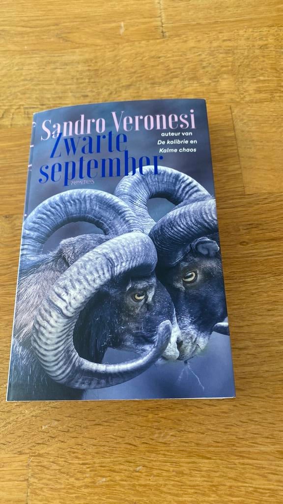 Sandro Veronesi - Zwarte september, Ophalen of Verzenden, Zo goed als nieuw, Sandro Veronesi
