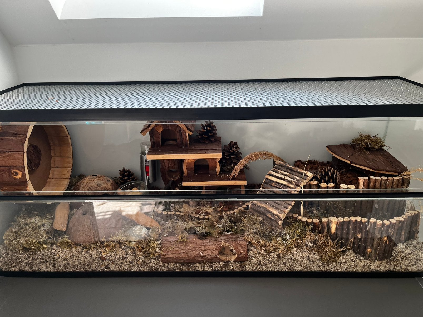 Hamster kooi/scaping, Ophalen, Zo goed als nieuw, Overige typen