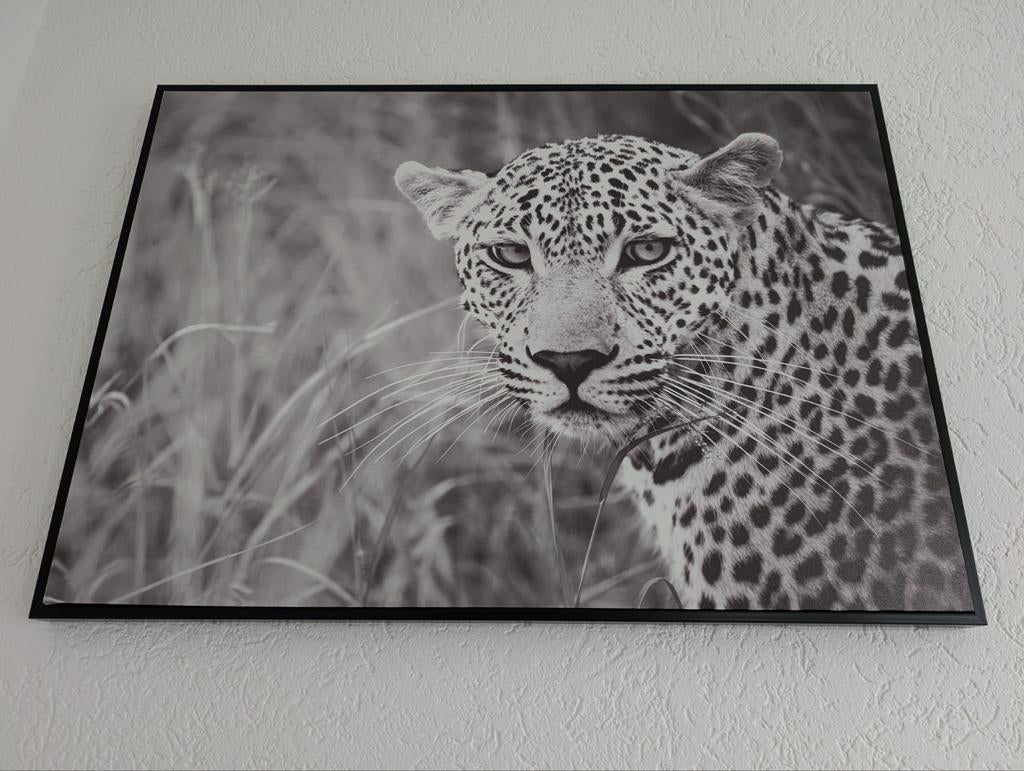 Canvas schilderij panter zwart-wit 70x50 cm, Huis en Inrichting, Woonaccessoires | Schilderijen, Tekeningen en Foto's, Zo goed als nieuw