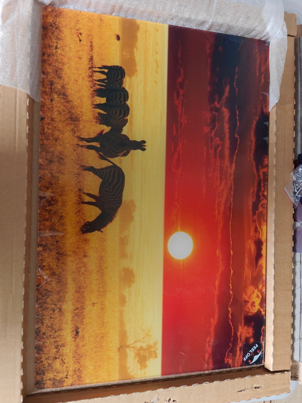 Plexiglas schilderij Savanne met zebra's, 40x60 cm, Antiek en Kunst, Kunst | Schilderijen | Modern, Ophalen of Verzenden, Kunststof