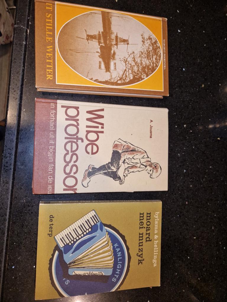 Friese boeken in Friese taal, Ophalen of Verzenden, Zo goed als nieuw