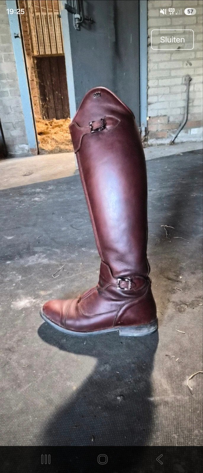 kingsley rijlaarzen polo model 39 cognac, Gebruikt, Dressuur, Ophalen of Verzenden, Bruin