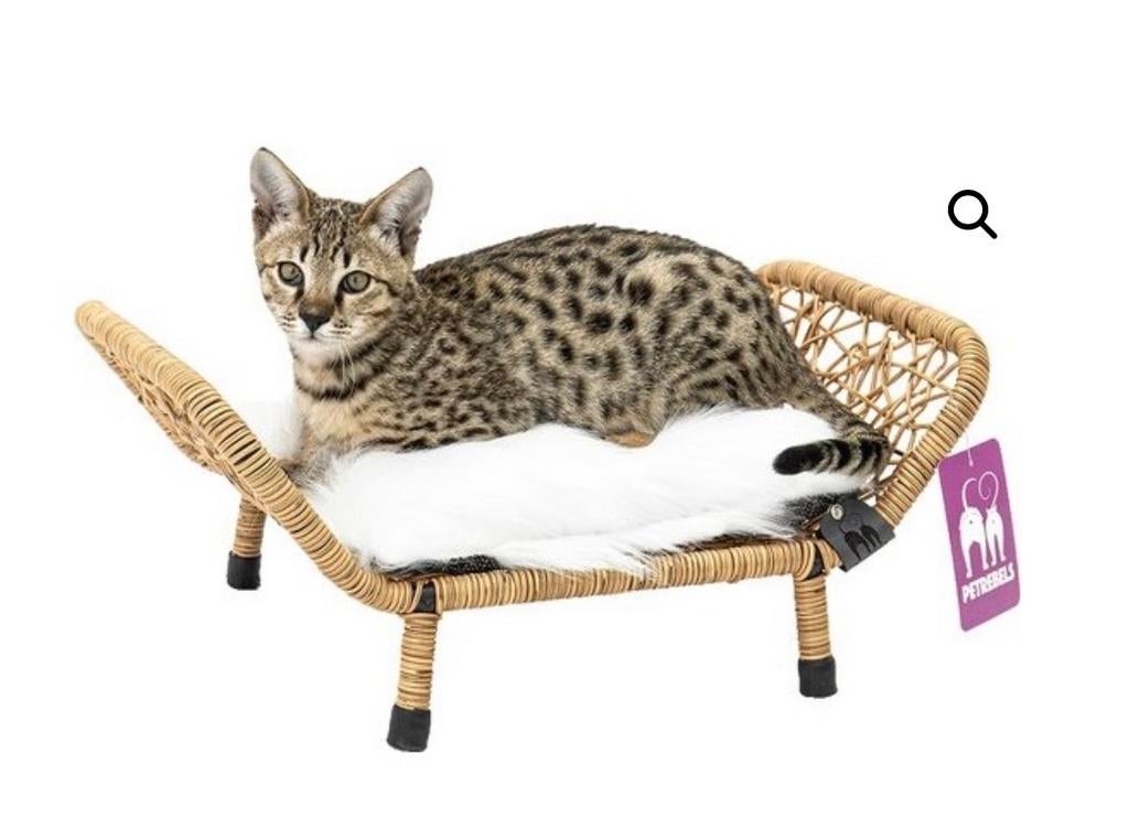 Kattensofa, Onbekend, Nieuw, Ophalen of Verzenden, Onbekend