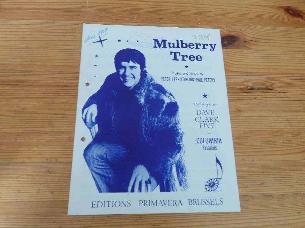 Mulberry tree - dave clark five - lee / stirling / peters, Muziek en Instrumenten, Gebruikt, Gitaar, Ophalen of Verzenden, Artiest of Componist