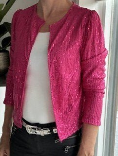 glitterjasje met lovertjes leuk voor de Toppers, Kleding | Dames, Carnavalskleding en Feestkleding, Nieuw, Overige thema's, Kleding