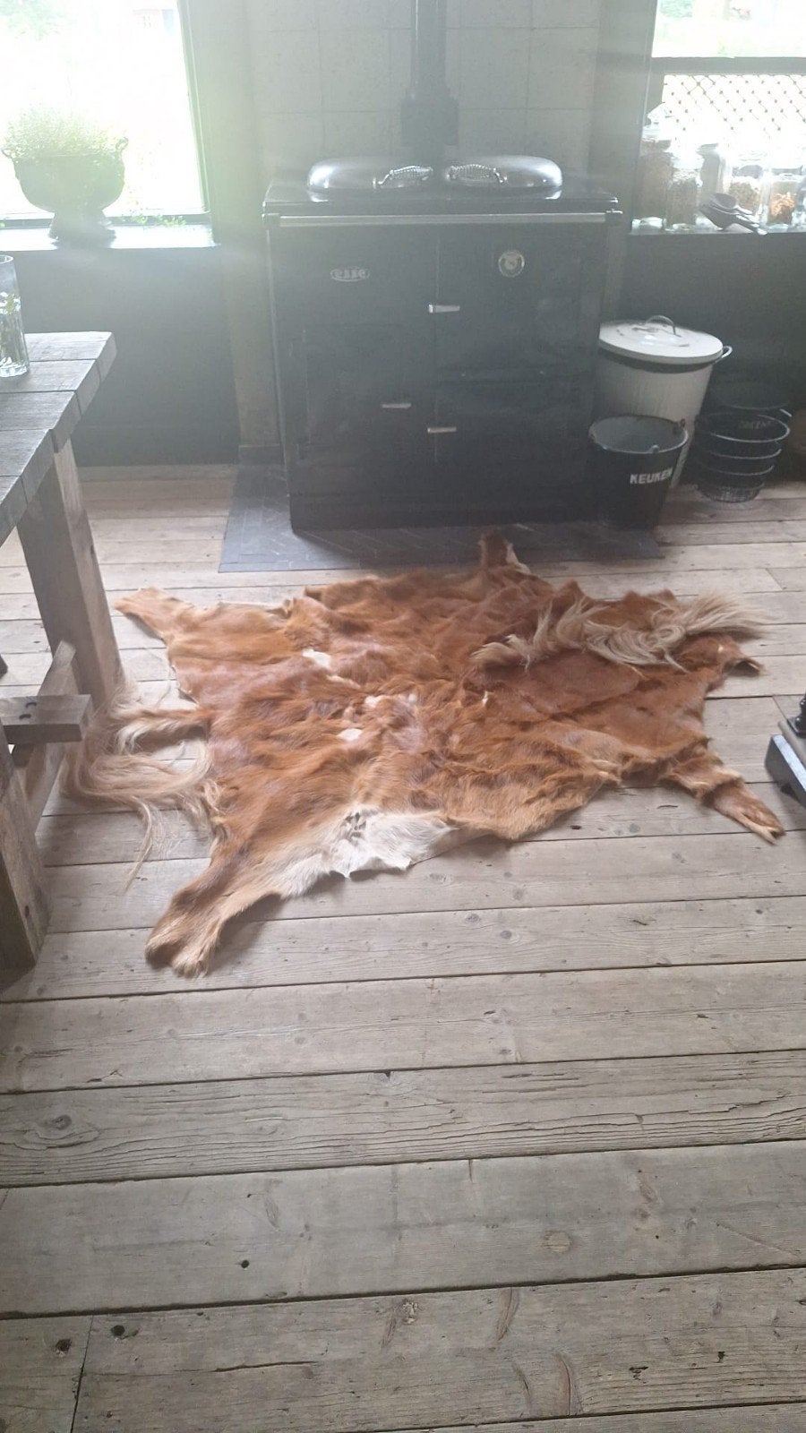 pony vloerkleed opgezette dieren, Verzamelen, Verzenden, Zo goed als nieuw, Paard, Opgezet dier