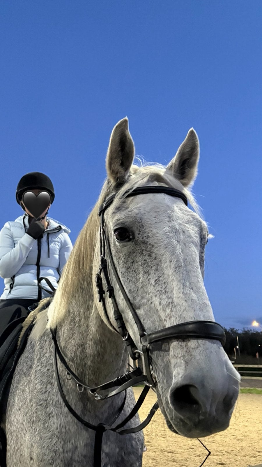 verzorger/bijrijder aangeboden Almere!, Ophalen of Verzenden, Nieuw